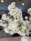 Aria White Cherry Blossom Branches Set of 3 Artificial Silk Stems Faux White Floral Bundle for Home, Wedding & Event Decor